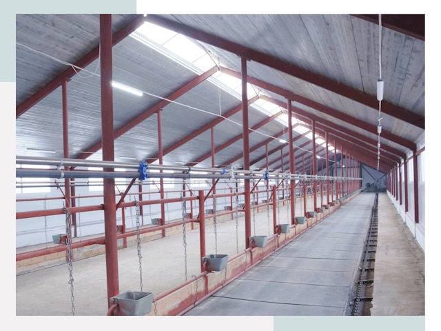 Строительство коровников в Пыть-яхе от 610 руб.