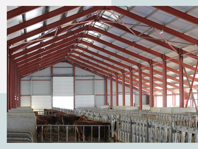 Строительство коровников в Пыть-яхе