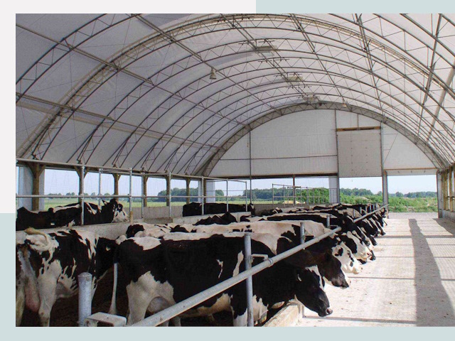 Тентовые коровники в Пыть-яхе